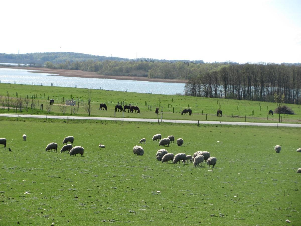 Tisvildehegn Bandb Helsinge エクステリア 写真